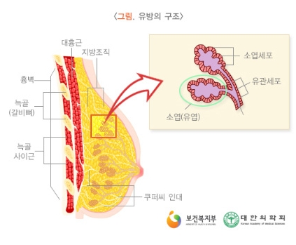 청주제일외과의원 이미지