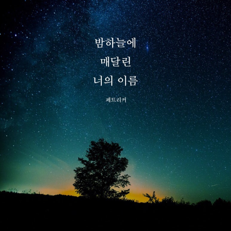 페트리커 이미지