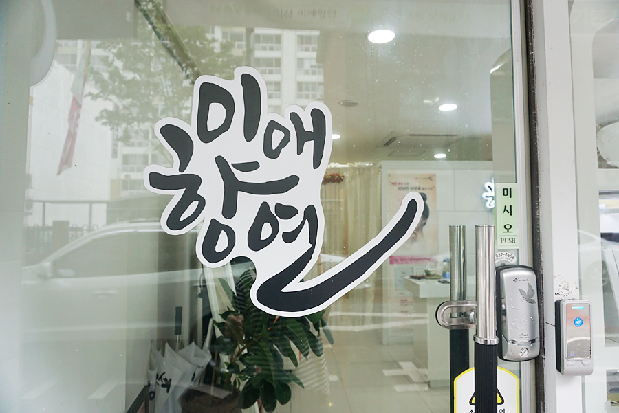미애향연 이미지