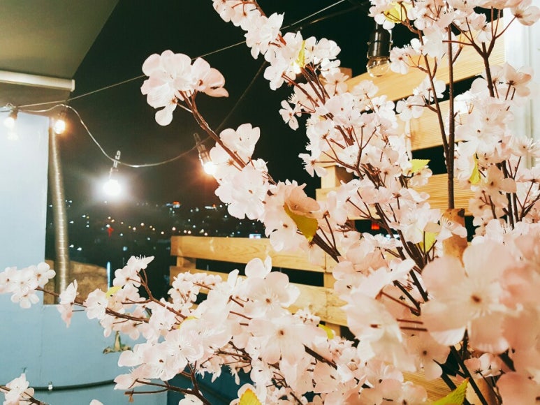 솔게스트하우스동해묵호역점 이미지