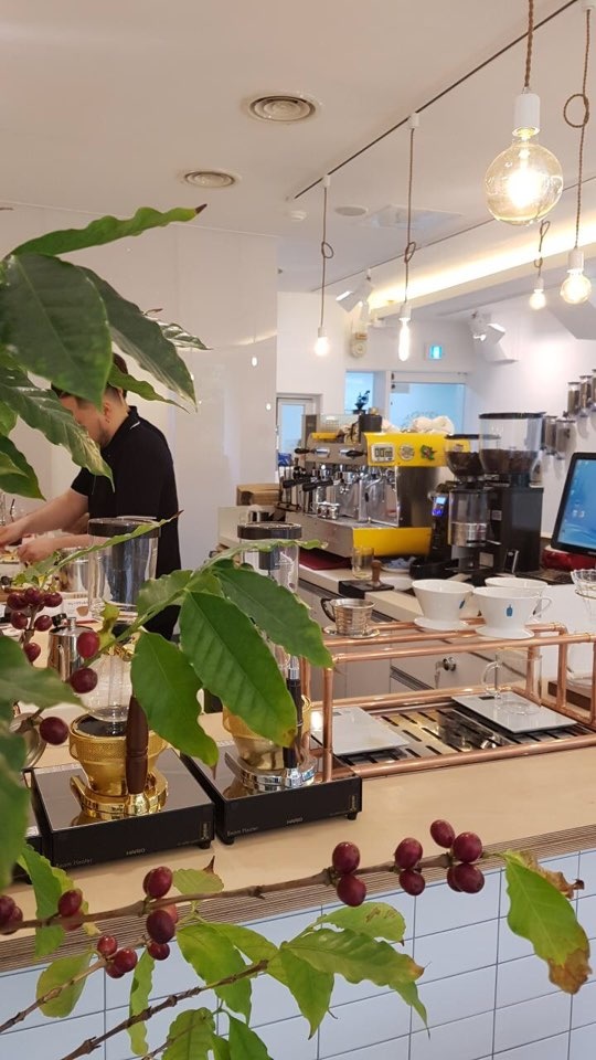 카페 로띠르(Cafe Rotir) 이미지