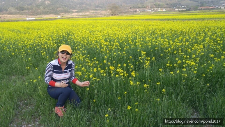 김박사연구소 이미지