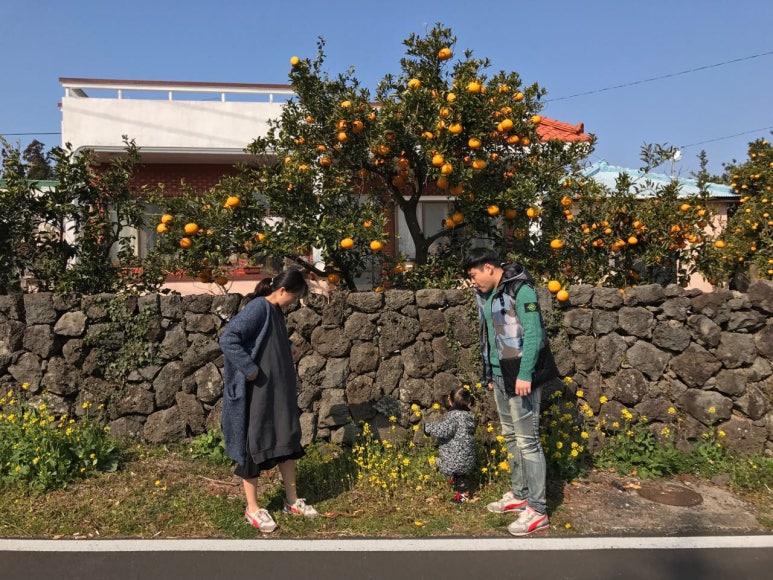 여행하리 이미지