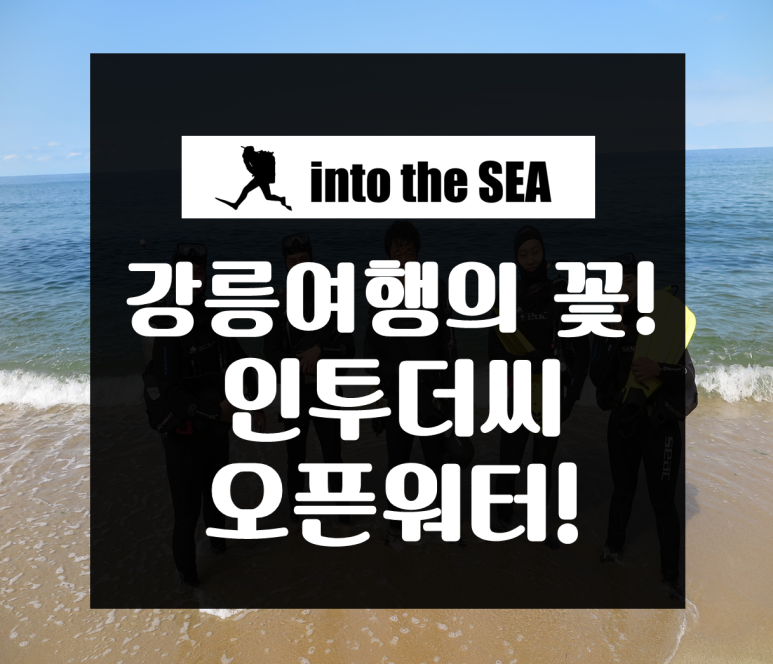 인투더씨 이미지