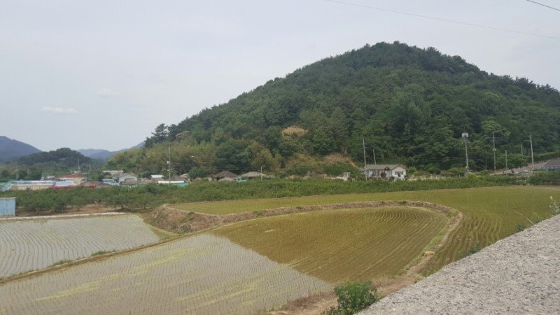 성진미용실 이미지