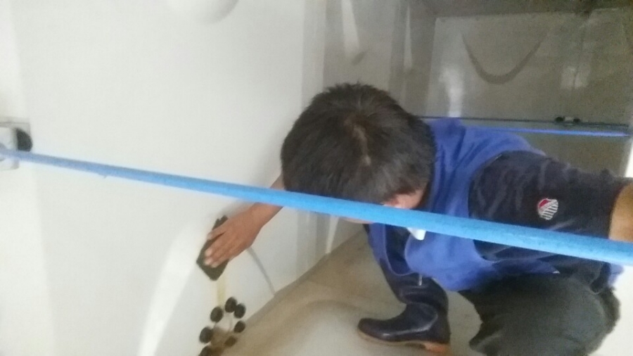 금진식품 이미지
