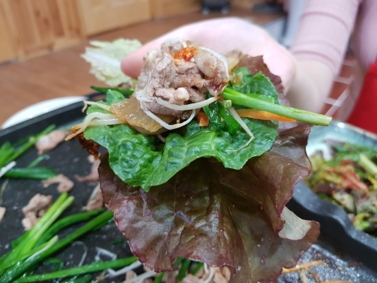 오리나라 이미지