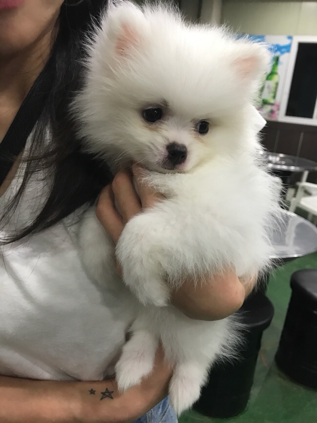 다미아구찜 이미지