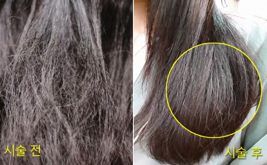 희망알씨 이미지