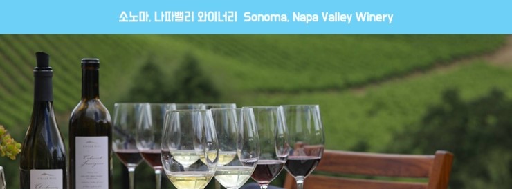 코리아나 투어 서비스 이미지