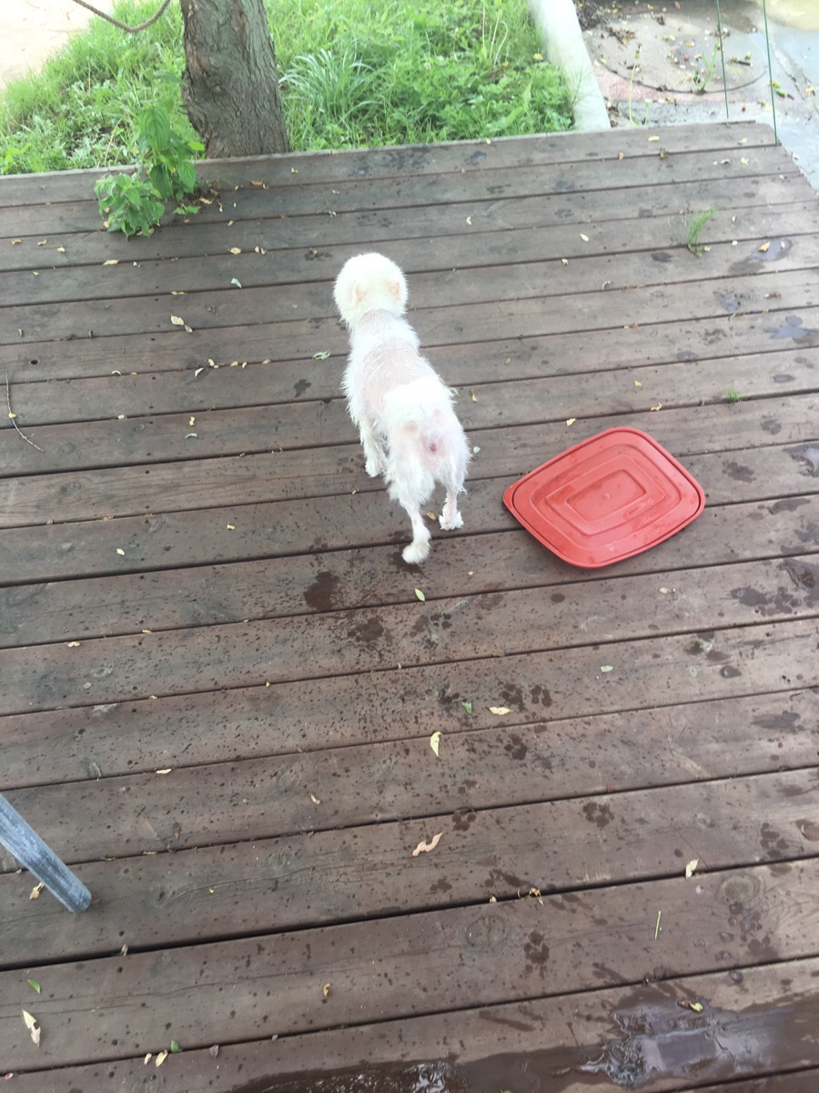 오수효마트 이미지