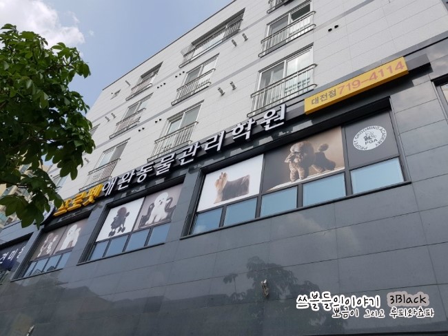프로펫애견미용학원 이미지