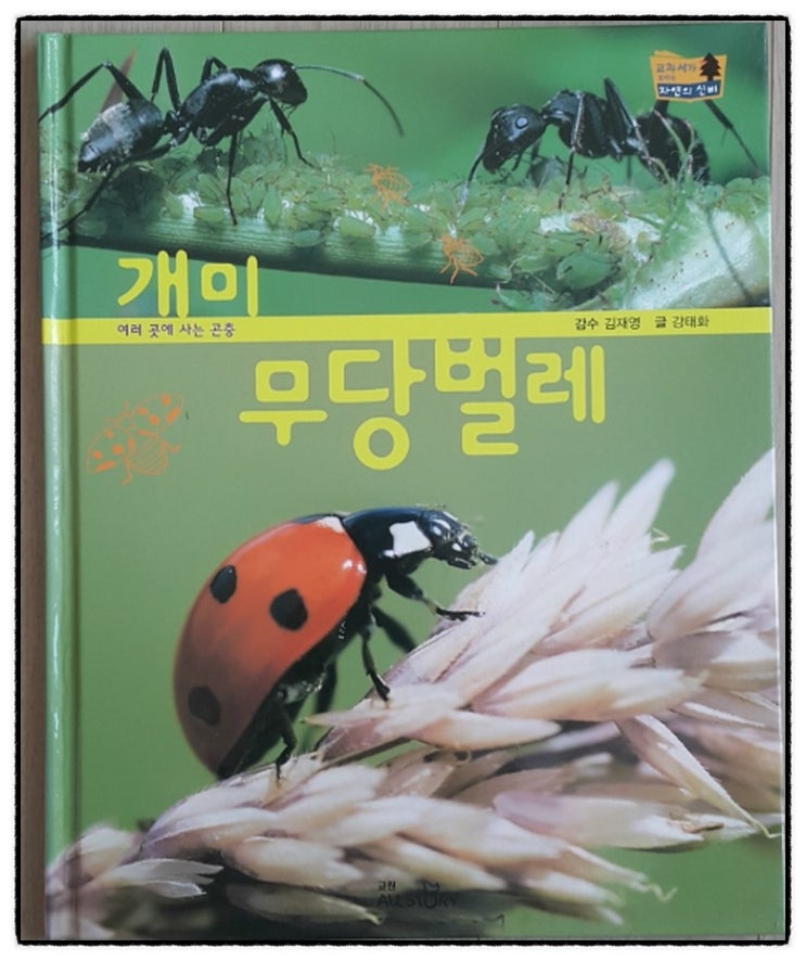 (주)자연의 신비 이미지