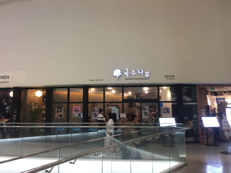 펜타포트국수나무 이미지