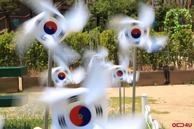 엔의원 이미지
