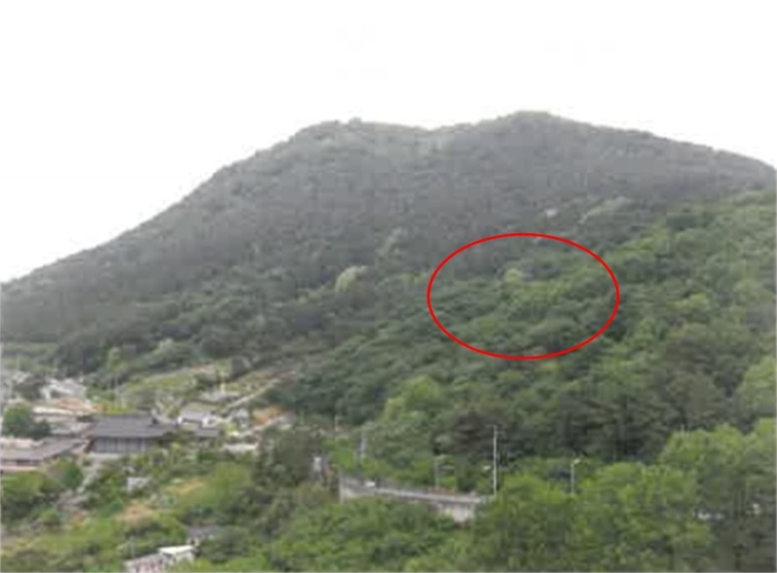 학교법인금정학원 이미지