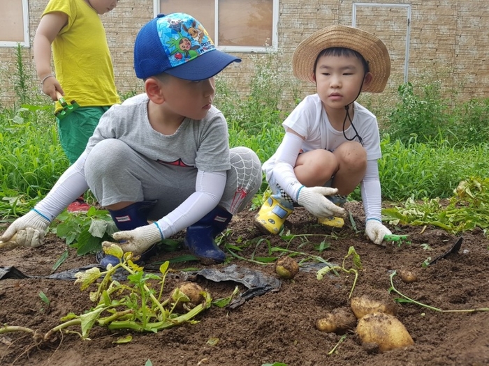 도만스쿨 이미지
