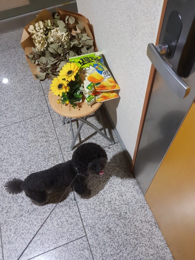 바디플러스핏 이미지