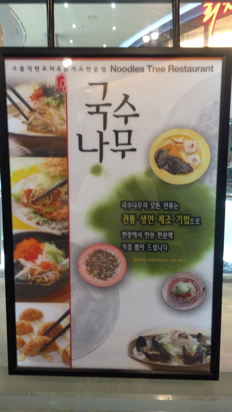 펜타포트국수나무 이미지