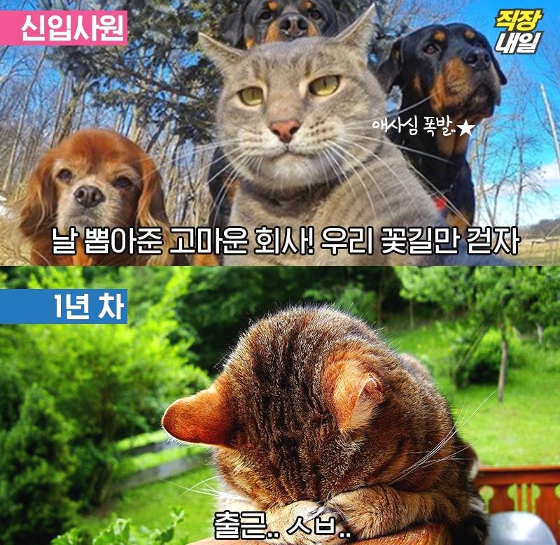 공감 이미지