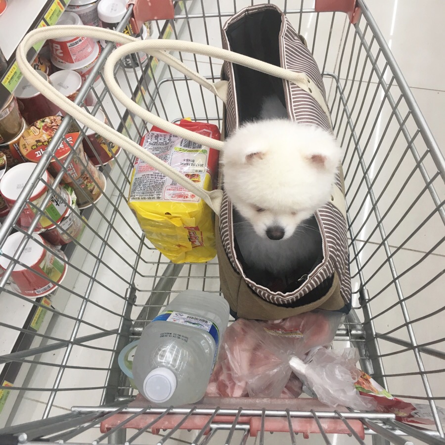 오수효마트 이미지