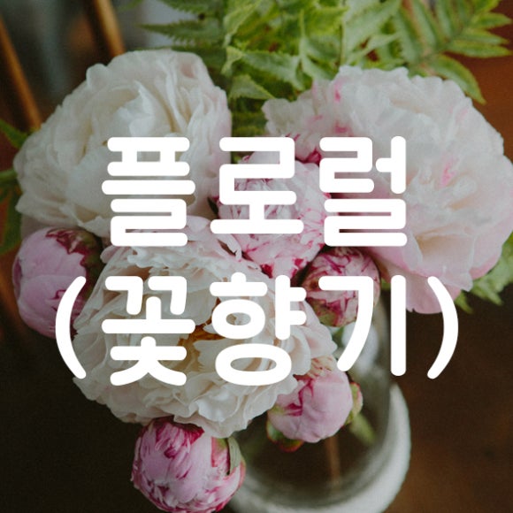 카피홀릭 이미지