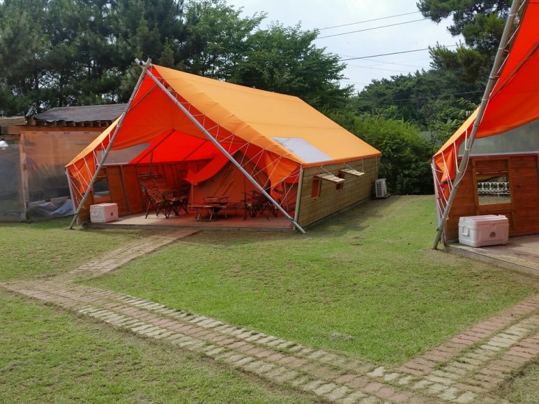 초락 이미지
