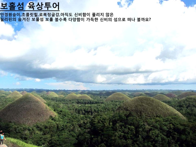 데이투어 이미지