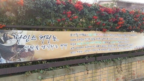 다인스 이미지