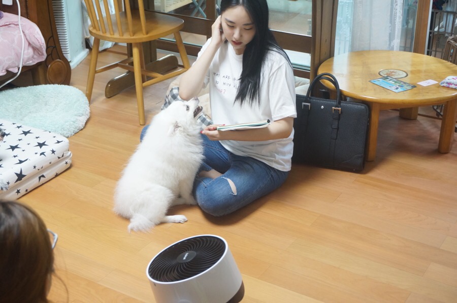 해피독반려견방문교육 이미지