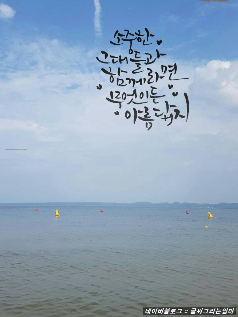 캘리 이미지