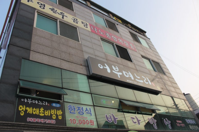 바다며느리 이미지