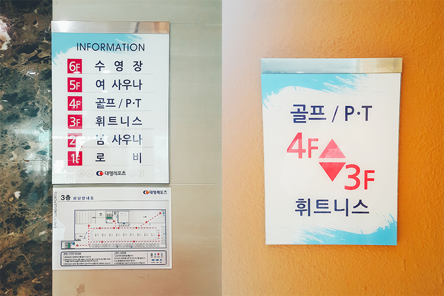 대영레포츠 이미지