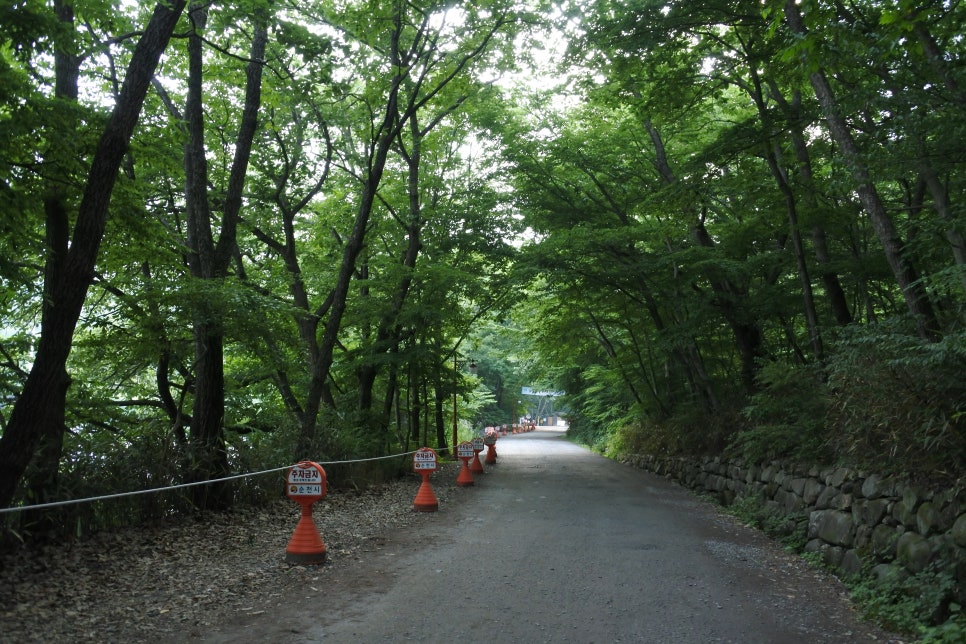 성지불교사 이미지