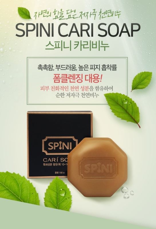 스피니 이미지