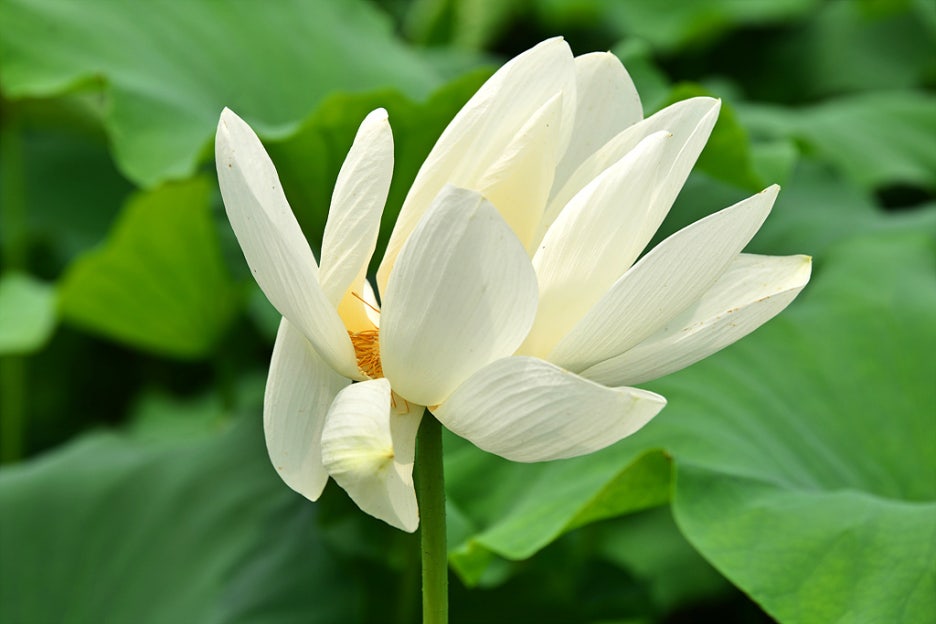 정화수도원 이미지