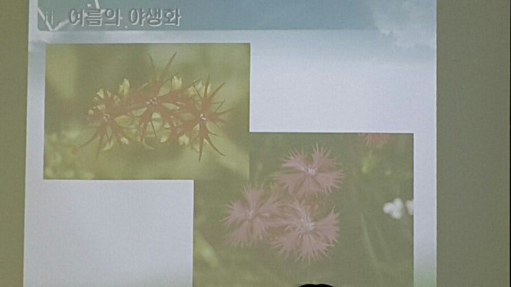 한국역량교육연구소 이미지