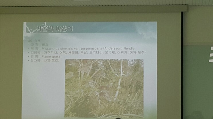 한국역량교육연구소 이미지