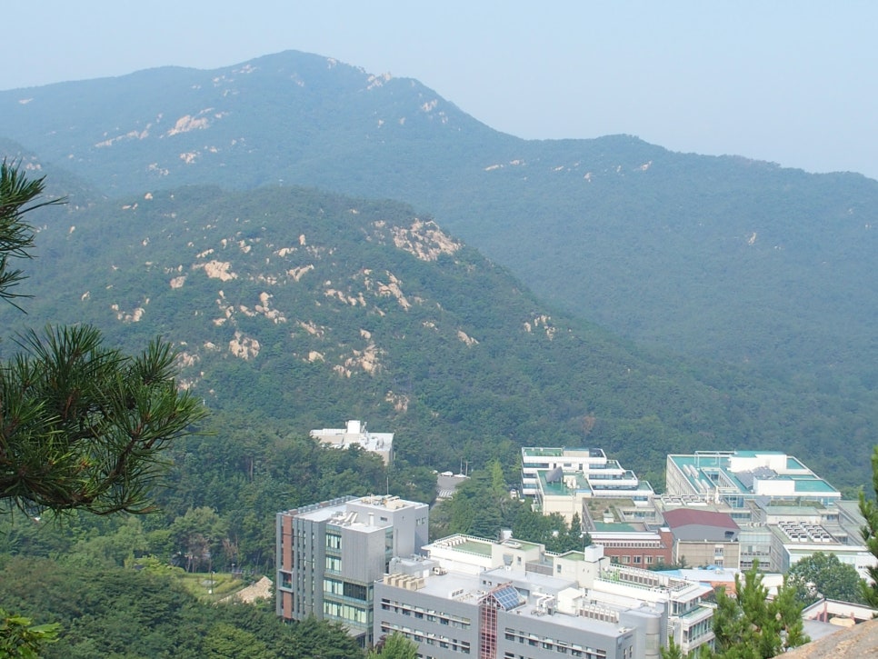 낙성주유소 이미지
