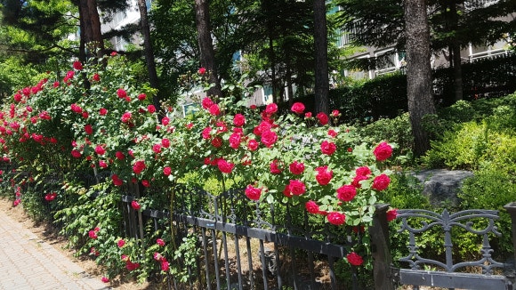 교하 청석 스포츠센타 이미지