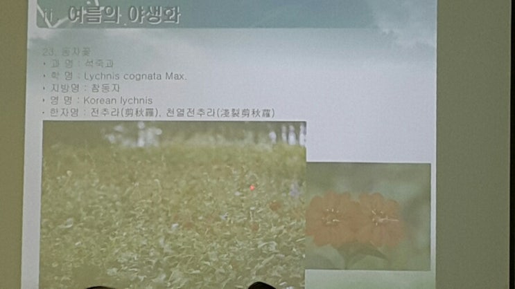 한국역량교육연구소 이미지