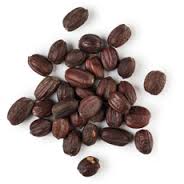 씨드(SeeD) 이미지