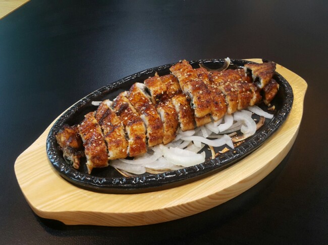 풍천복장어 이미지