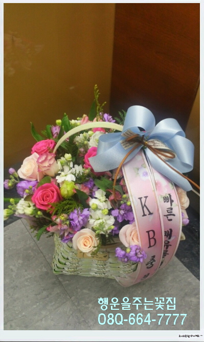 행운화원 이미지