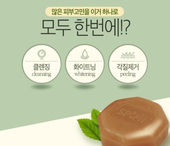 스피니 이미지