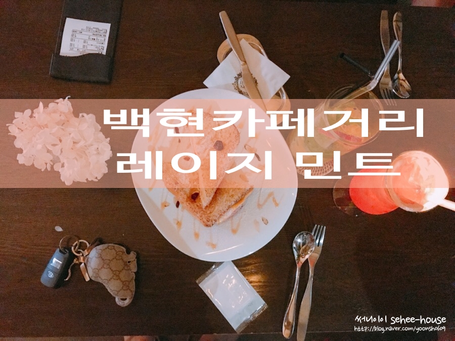 레이지민트 이미지
