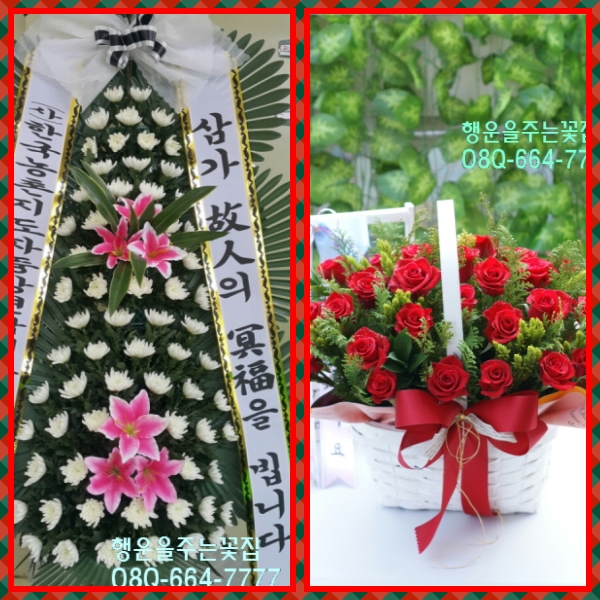 행운화원 이미지