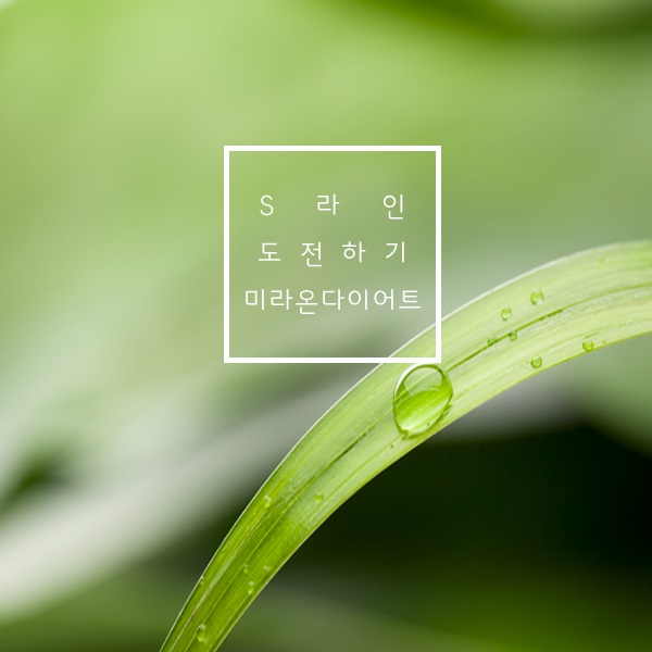 고고한의원 이미지