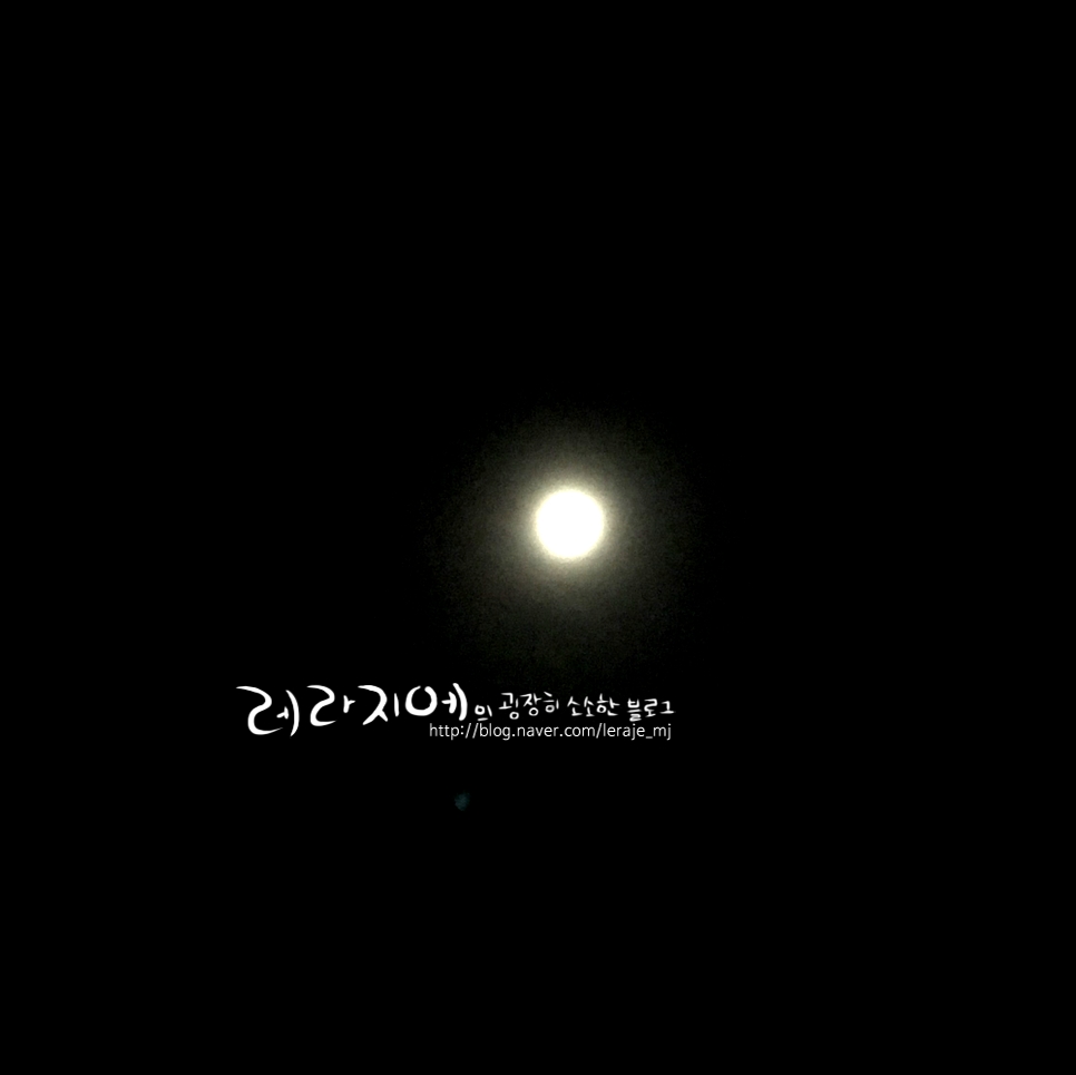 벳소캠프 이미지