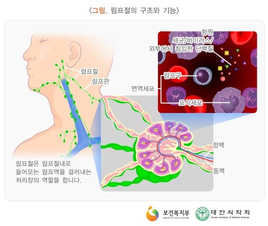 경희토정한의원 이미지